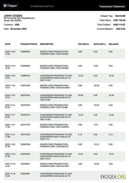 Modèle Word et PDF de relevé de transaction Nigeria Chipper